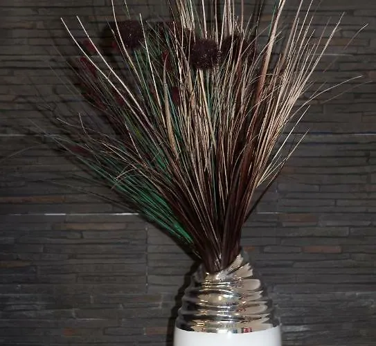 Appartement Kamienny Potok *