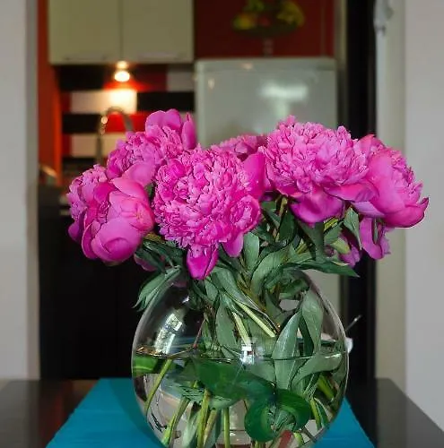 Kamienny Potok Lejlighed *